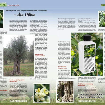Olive fertilizer HIGH-TECH Olea NPK, for plants in beds and tubs