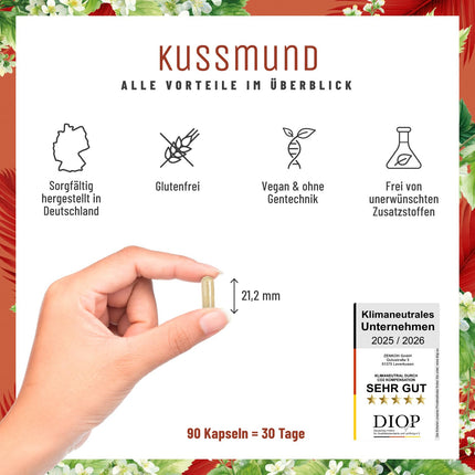 L-Lysine 1000 mg high-dose - L-Lysine complex with lemon balm and selenium - High-dose L-Lysine capsules - Naturtreu Kussmund vegan &amp; laboratory-tested