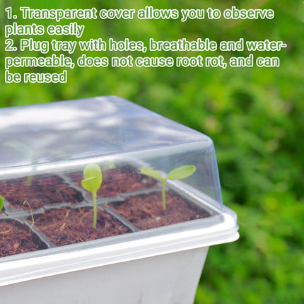 GAESHOW 12 Pack Indoor Greenhouse Propagator, 144 Grid Mini Greenhouse Propagation Set with Raised Lid, Reusable Propagation Plate, Greenhouse Propagation Trays for Seedling Plant