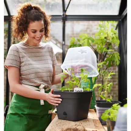 elho Green Basics Grow Pot Square All-in-1 15 - Flowerpot for growing - 100% recycled plastic - Ø 15.0 x H 12.1 cm - Black/Living Black