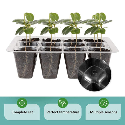 Mecctuck Growing Greenhouse, 3 Pack Grow Box, Indoor Greenhouse, Growing Kit, Mini Greenhouse, Indoor Plant Growing Greenhouse, Growing Tray, Growing Pots with Lid and Ventilation