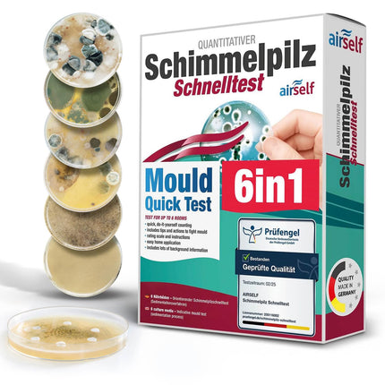 Mold test for home - Mold test for up to 6 rooms - Mold rapid test to assess air quality with regard to mold contamination in indoor spaces