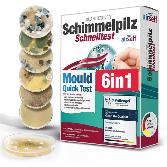 Mold test for home - Mold test for up to 6 rooms - Mold rapid test to assess air quality with regard to mold contamination in indoor spaces