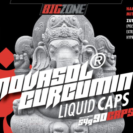 Big-Zone Curcumin Curcuma (turmeric) NovaSol® Curcumin Made in Germany | 90 liquid capsules