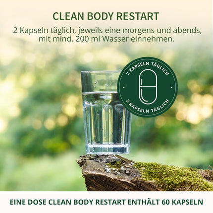 BodyFokus Clean Body Restart - Liver, Homocysteine ​​and Fat Metabolism - 60 Capsules - Made in Germany