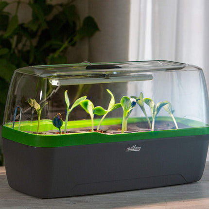 Romberg 16294397 BoQube Greenhouse &amp; Planter L plus LED anthracite-green (Indoor Greenhouses)