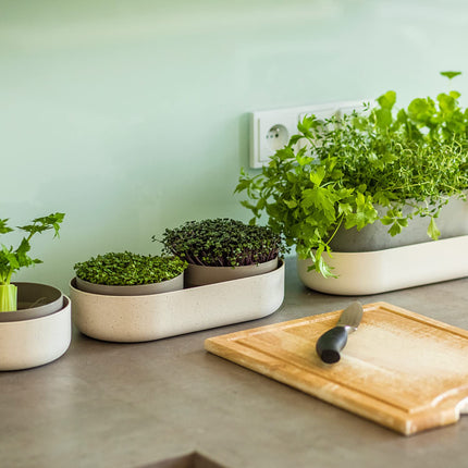 Urbalive 2-in-1 large sprouting tray set - 2x cress growing trays for sprouts, cress seeds, microgreens - designer cress sieve made of high-quality plastic - sprouting box germination device with regrow option