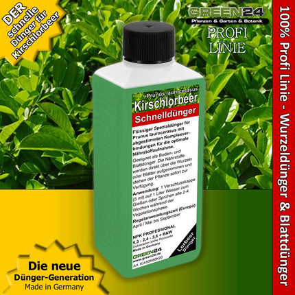 GREEN24 Cherry Laurel Fertilizer Laurel Fertilize Prunus laurocerasus, Premium Liquid Fertilizer from the Professional Line