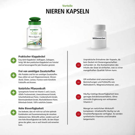 Fairvital | Kidney Capsules - 60 Capsules - HIGH DOSE - VEGAN - with cranberry, bearberry, dandelion, and more