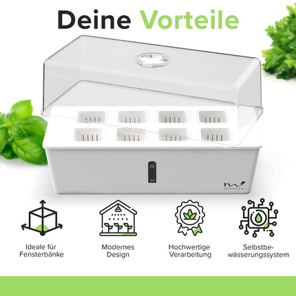 MUNROOMY Mini Greenhouse - Indoor Greenhouse with Self-Watering System - Propagator for Cuttings - Growing Kit for the Windowsill &amp; Indoor Herb Garden