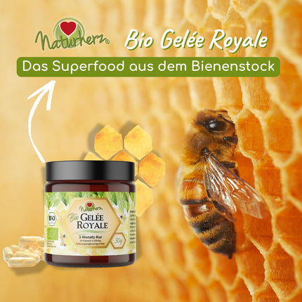 Organic Royal Jelly Capsules from Naturherz | 100% Royal Jelly Powder | NO additives | 90 Veggie Capsules in a practical brown glass jar