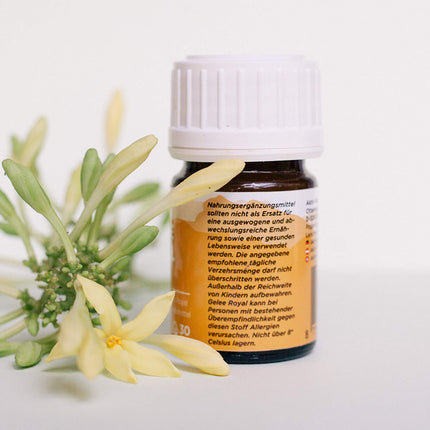 AKTIV NATURHEILMITTEL Pure Royal Jelly | 30g | High-quality royal jelly (bee's milk) | Delivered chilled