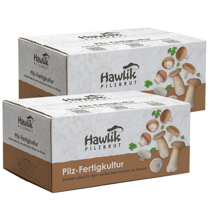 Hawlik Mushroom Spawn Mushroom Cultivation Kit Value Bundle XXL – 2 large cultivation boxes for stone mushrooms and white mushrooms – grow mushrooms at home without prior knowledge or accessories – about 6 kg mushroom harvest!