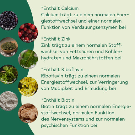 BitterLiebe Fiber Powder with Blackberry Flavor - Mix of ground psyllium husks, inulin (prebiotics), apple fiber, and acacia fiber - Multi Fiber Complex, the perfect intestinal cleanse - 300g
