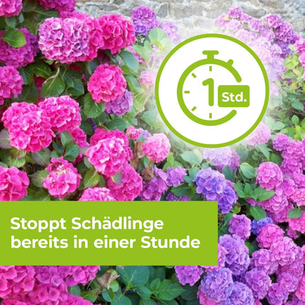 PROTECT GARDEN Lizetan Plus Aphid-Free AF ​​special spray against aphids on roses, ornamental plants, fruit and vegetables, 1 liter