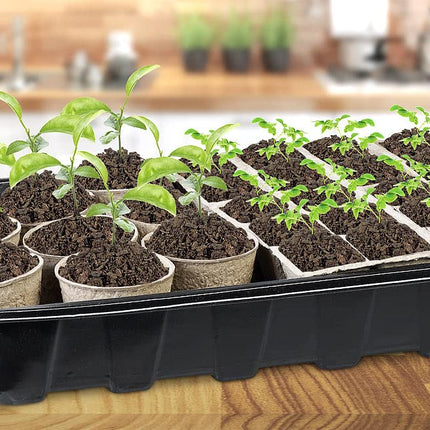Royal Gardineer Grow Pots: 84-piece plant growing kit with biodegradable plant pots (plant pot, growing kit, indoor greenhouse)