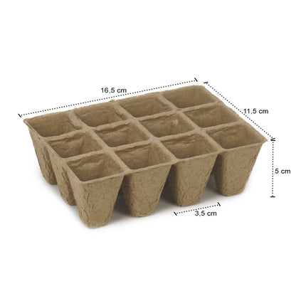 com-four® 2x Indoor Greenhouse for Growing Plants, Growing Kit for 40 Plants, Planter for the Home, 26.5 x 19.5 x 10.5 cm (02 Pieces - Indoor Greenhouse)