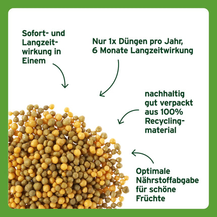 Substral long-term depot fertilizer for citrus and Mediterranean plants, e.g. bougainvillea, oleander, figs, etc., 750 g, green