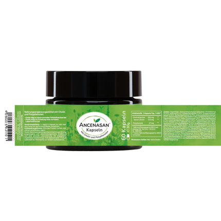ANCENASAN Liver Complex Premium 60 Capsules - Traditional blend of 49 selected bitter herbs &amp; spices with choline - Vegan, Gluten-free, Made in Germany