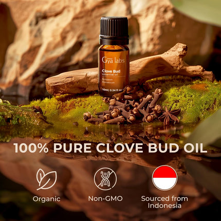 Gya Labs Clove Essential Oil for Teeth &amp; Gums - 100% Natural Clove Oil for Oral Care, Hair, Skin, Earthy, Spicy Scent (10 ml)