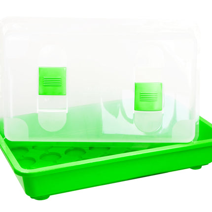 Romberg Greenhouse M (Indoor Greenhouse) - 38 x 24 x 19 cm, with ventilation, shatter-proof lid, very stable, multicolored