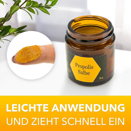 Nordbienchen® Propolis Ointment 30g - From our own beekeeping – Natural propolis cream for skin irritations, acne, neurodermatitis, herpes, warts – Beeswax ointment without additives