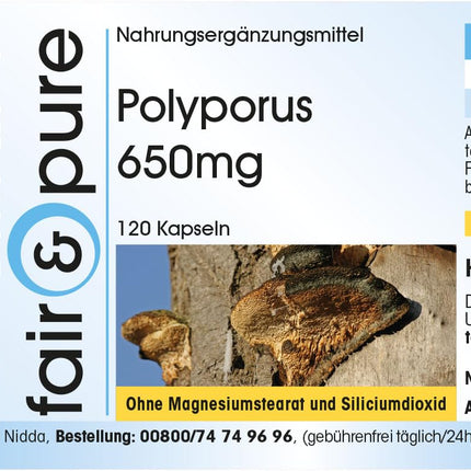 Fair &amp; Pure® - Polyporus 650mg - 120 Capsules - Polyporus umbellatus - vegan - without magnesium stearate