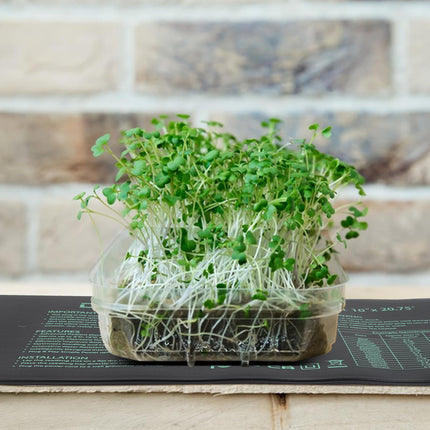 DBREAKS Heating Mat with Thermostat, 30W Indoor Greenhouse Heating Mat, Heating Mats with Controller, IP67 Greenhouse Heating Mat Waterproof, Plant Heating Mat with Digital Thermostat for Seedlings