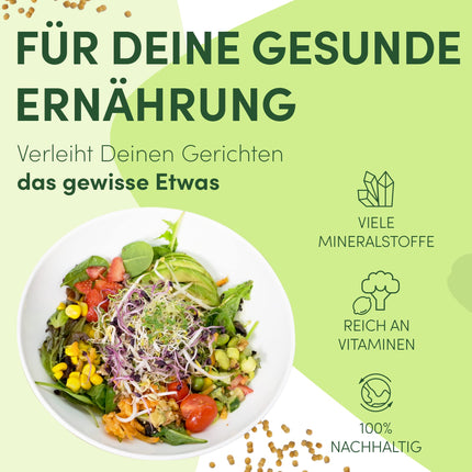 Green SEEDS Sprouting Jar, Set of 2, 1000ml, with High-Quality Stainless Steel Mesh Lid, Stand + FREE Sprouting ABC [Print Version]