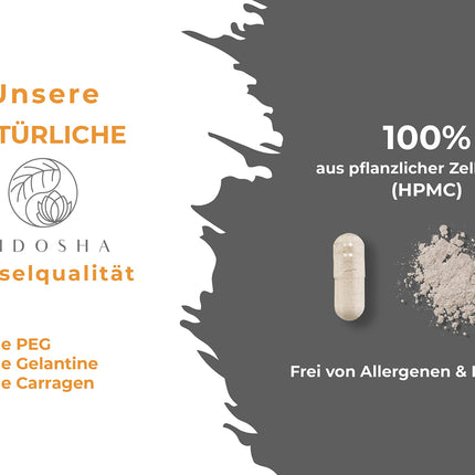 QIDOSHA® Nattokinase capsules, high-dose, highest enzyme activity with 28000 FU/g, 240 capsules in a glass jar, vegan, without vitamin K2, final product soy-free