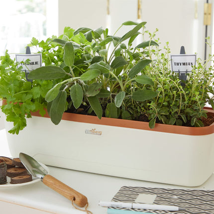 Romberg BoQube L Plus Greenhouse &amp; Planter System (hood, tray, insert, ceramic tubes) 16294199