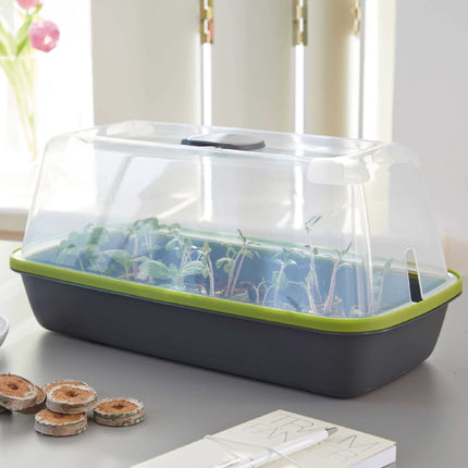 Romberg BoQube M | Indoor greenhouse with ventilation | Watering hole | Optimal microclimate and space for 18 seed pellets | 37 x 19 x 18 cm | Anthracite