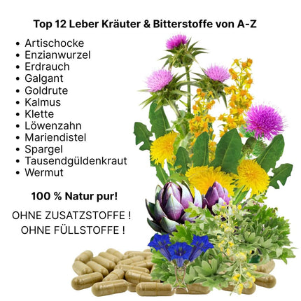 LIVER Complex 360 Capsules Liver Cure TOP 12x Liver Herbs Bitter Herbs Bitter Substances Milk Thistle Artichoke Dandelion Wormwood Gentian... 100% PURE NATURE [no ADDITIVES] 26314-360