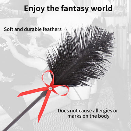 Feather tickler 2-in-1, SM sex toy, sex toy feather flirting feather tickler paddle crop soft whip, pinwheel flirting for couple exquisite