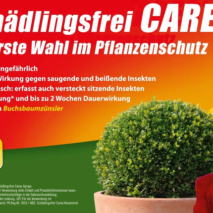 Substral Celaflor Pest-Free Careo Concentrate for ornamental plants, against aphids, box tree moths, etc. 250 ml