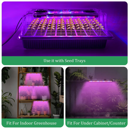 Verdenu Indoor Greenhouse Grow Box with Light Growing, 2 Pack Germination Tray Greenhouse with Humidity Dome, Adjustable Brightness Growing Greenhouse, 3 Modes, 4 Timing, Growing Kit for Indoor