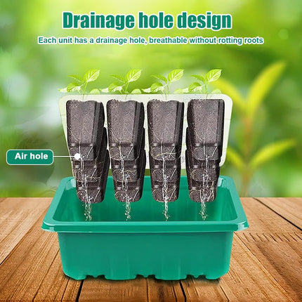 CLIUNT Indoor Greenhouse Propagator, 5 Pack Mini Greenhouse Propagator, Greenhouse Propagator Tray, with Higher Lid, Timer, Tools and Paper Labels, for Seedling Plant Germination