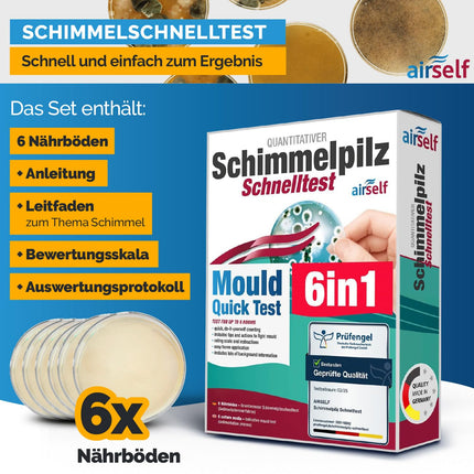 Mold test for home - Mold test for up to 6 rooms - Mold rapid test to assess air quality with regard to mold contamination in indoor spaces
