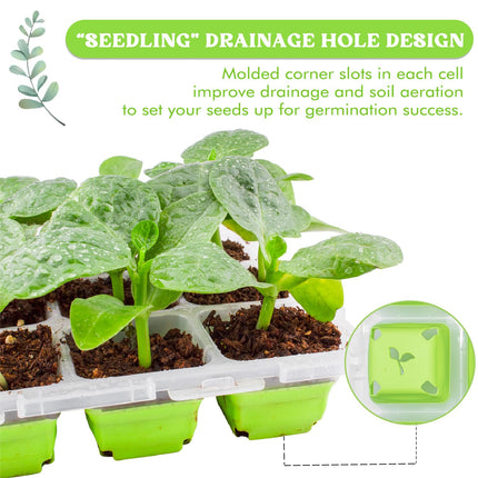 QTUN Growing Tray Pot Tray 4 Pieces 36 Planting Holes, Reusable Indoor Greenhouse Grow Box, Mini Greenhouse Grow Trays for Plants, Herbs, Flowers, Vegetables and Fruits