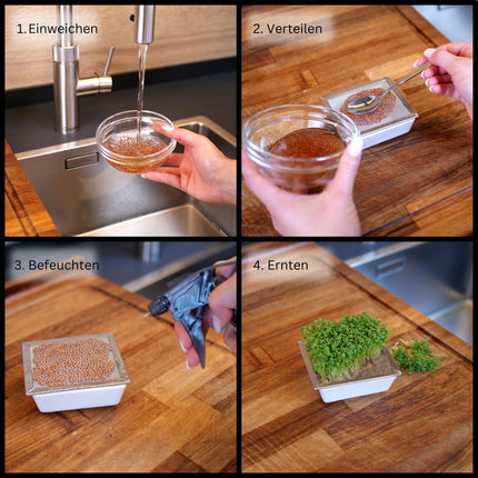 TAHLBERG sprouting jar set of 2 – high-quality sprouting jar made of bamboo + cress sieve &amp; sprouting tray – including lid, cover &amp; instructions – sprouting jar for sprouts