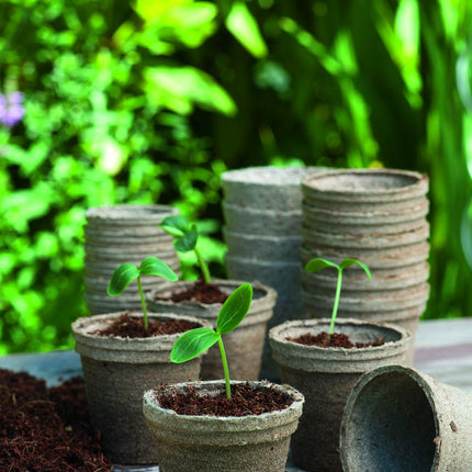 Romberg Classic round growing pots ø 8 cm (48 pieces, biodegradable, peat-free, easy to use) 10091108