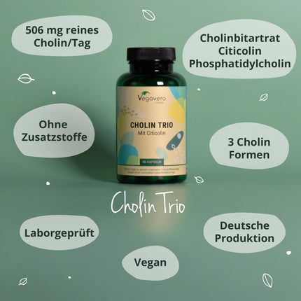 Choline Capsules | Unique: 3 Forms | Bitartrate, Citicoline &amp; Phosphatidylcholine | Liver - Lipid Metabolism* | Laboratory Tested | No Additives | From Vegavero®