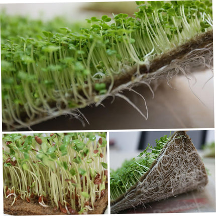NASSMOSSE Micro Greens Planting Mat, 8 Hemp Mats for Growing Microgreens, 25.4 x 50.8 cm, Microgreens Grow Kit, Organic Seed Sprouting Growth Mat, Jute Mat, for Seed Starter Trays