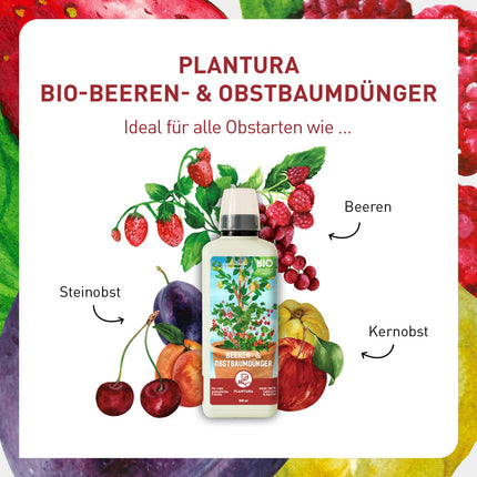 Plantura Organic Berry &amp; Fruit Tree Fertilizer, organic liquid fertilizer, 800 ml