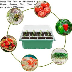 Voarge indoor greenhouse growing box, with 12 planting holes and lid, for greenhouse growing tray pots indoor greenhouse plant pots