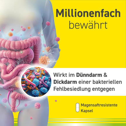 Omniflora N hard capsules - the gastrointestinal remedy for the sustainable improvement of the intestinal flora