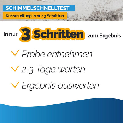 Mold test for home - Mold test for up to 6 rooms - Mold rapid test to assess air quality with regard to mold contamination in indoor spaces