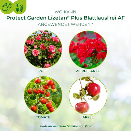 PROTECT GARDEN Lizetan Plus Aphid-Free AF ​​special spray against aphids on roses, ornamental plants, fruit and vegetables, 1 liter