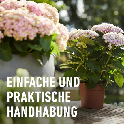 Compo Balcony and Pot Plant Fertilizer Sticks with Guano