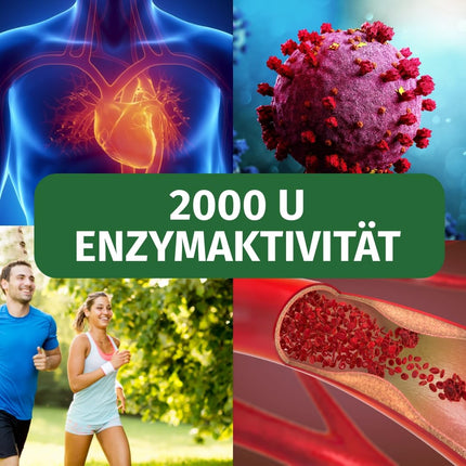 Nattokinase 20,000 FU/g - 100 mg per capsule - 1-year supply (365 capsules) - Fermented soybean extract - Pharmacy quality - Green Naturals®